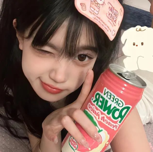 笨鸟满天飞